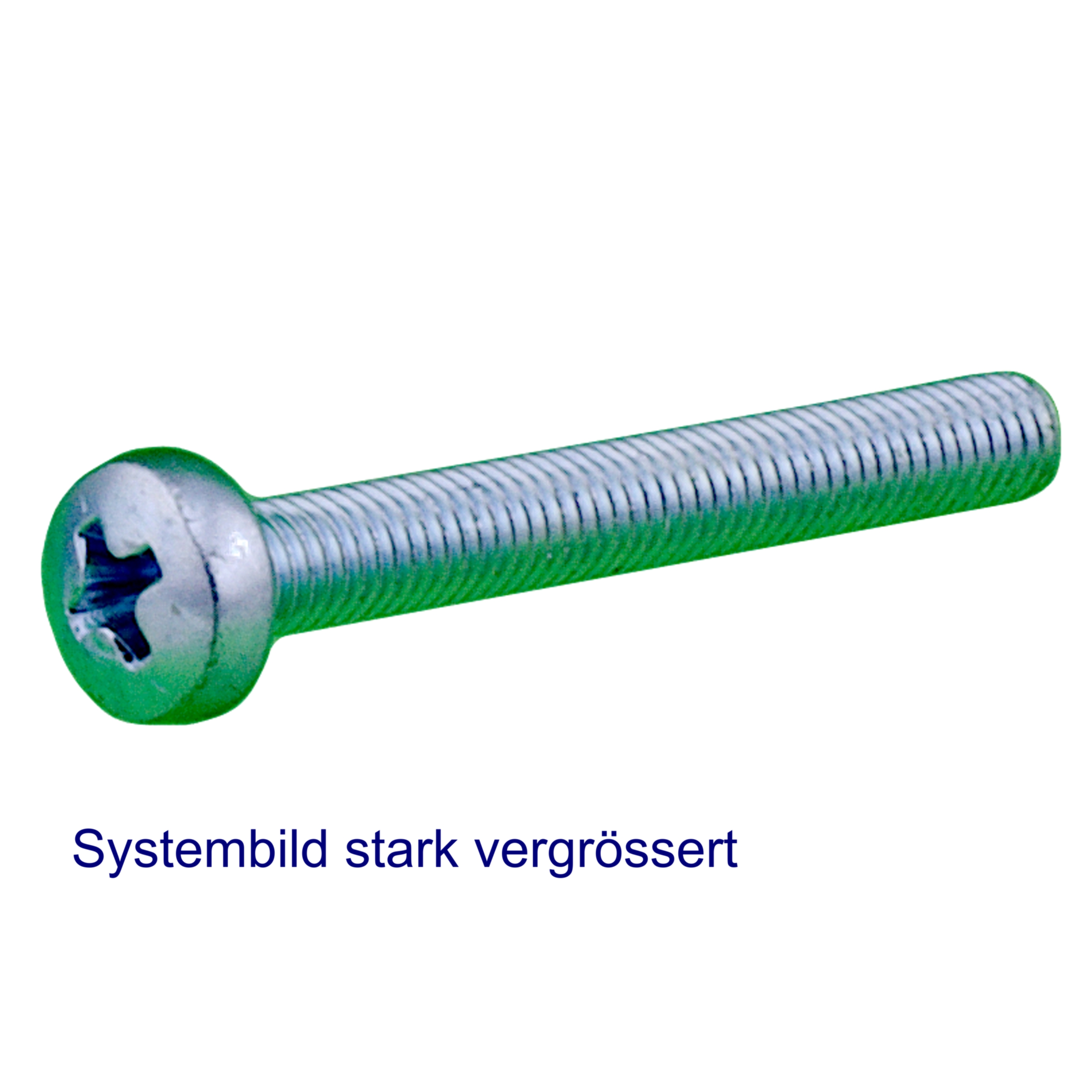 Linsenschrauben mit Kreuzschlitz DIN 7985 verzinkt | M 6 x 25 mm Linsenschrauben mit Kreuzschlitz DIN 7985 verzinkt | M 6 x 25 mm