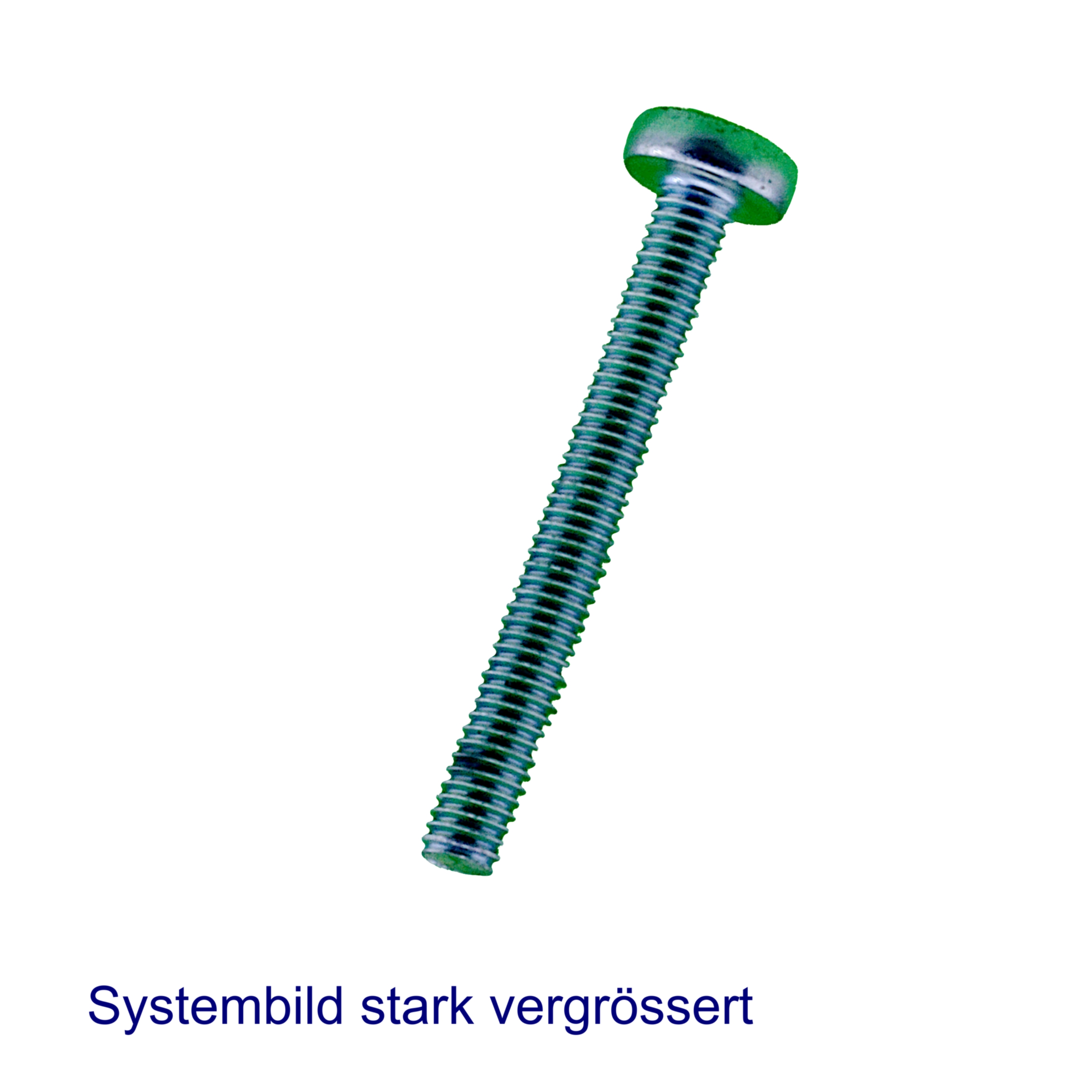 Gewindeschrauben Linsenkopf DIN 7985 5x35 Gewindeschrauben Linsenkopf DIN 7985 5x35